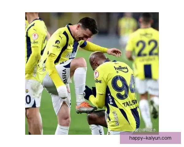 费内巴切控球能力稳健，近期表现值得关注，球队战术逐渐成熟